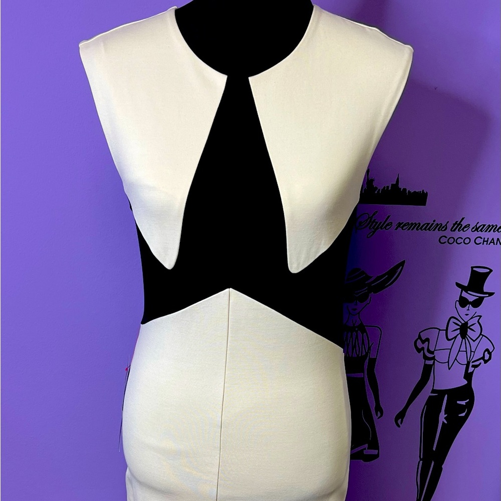 Bebe Dress